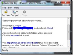 Asterisk-Key-Passwort-Recovery