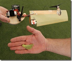 Maple Seed Drone