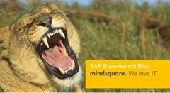 mindsquare-SAP-Experten-mit-Biss