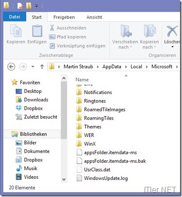 Windows-8-Metro-Style-Layout-kopieren-übertragen