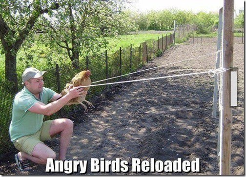 angry-birds-reloaded-stange