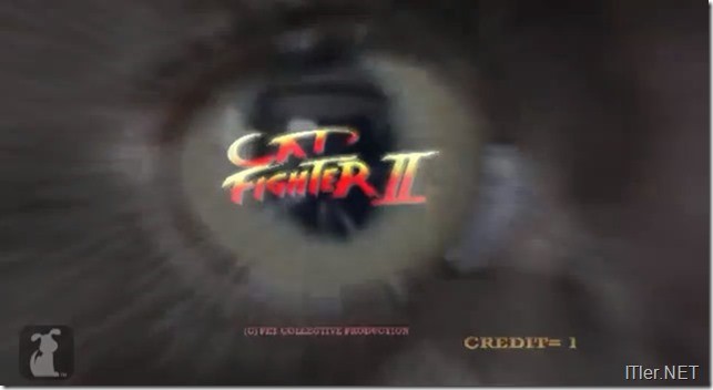 cat-fighter-2
