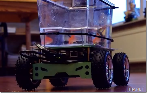 Goldfisch-steuert-Roboter-Auto-Fahrzeug