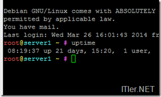 Uptime-Linux-anzeigen