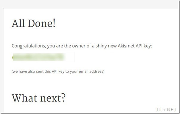 29-Akismet-API-Key